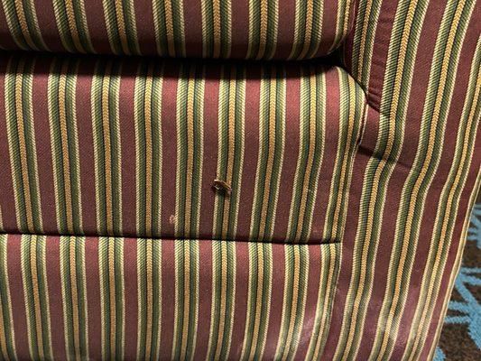 All the bugs that I killed! I can't even imagine how many I slept in the same room with that were still alive ughh vomit!!!