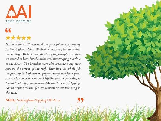 AAI Tree Service