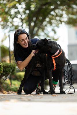 Working Dogs Project