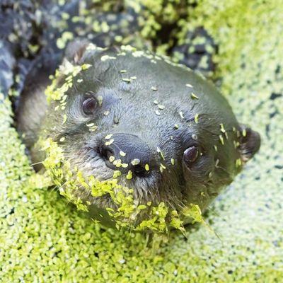 Peaceful Waters Sanctuary