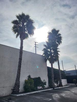 Nelson's Landscaping & Tree Service & Hauling Service