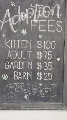Prices for cat adoption