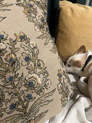 J's Tailor & Cleaners