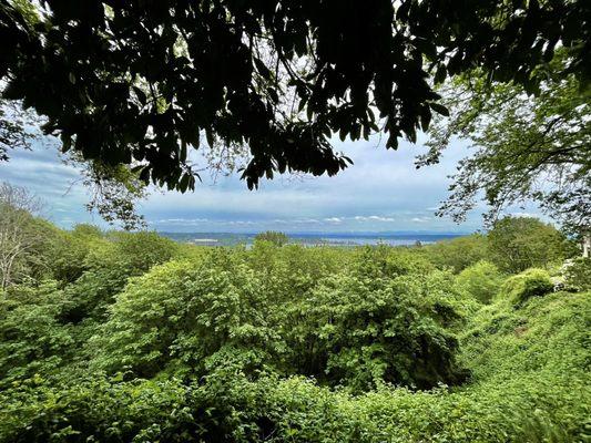 Louisa Boren Lookout