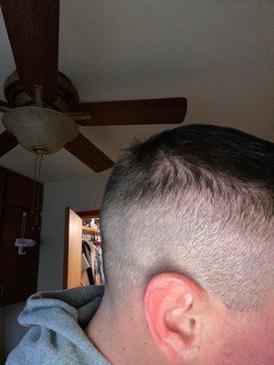 Scissors Family Hair Cutters