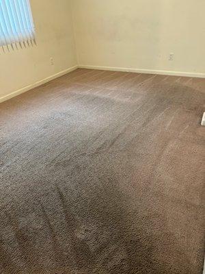 I could have just vacuumed the carpet myself for the same results.