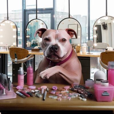 One Bark Place Mobile Grooming