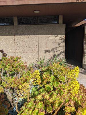 Sunnyvale United Methodist Church