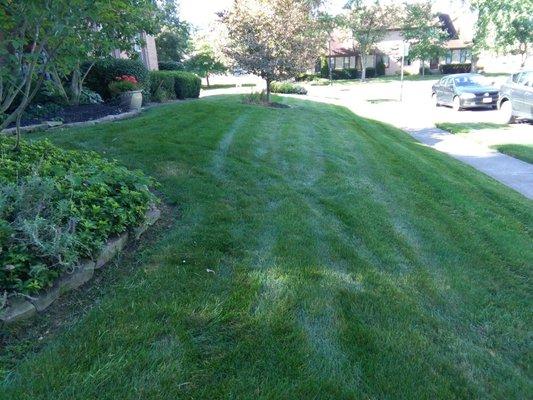 Good Neighbors Lawncare