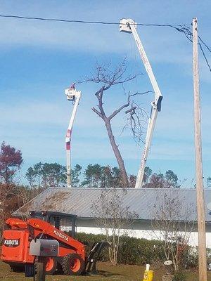 S & S Tree Service