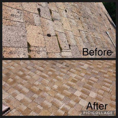 Soft Wash Roof Cleankng