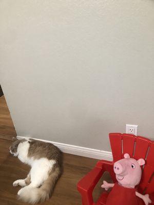 Kids Choice Pediatric Dentistry