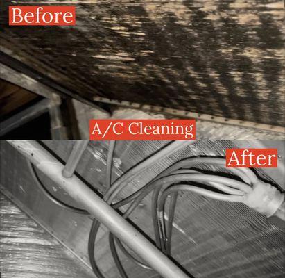 Wipe & Swipe Cleaners