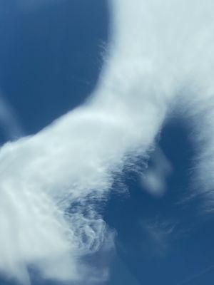 The Gold Medal Group