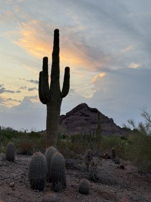 Papago Park photo