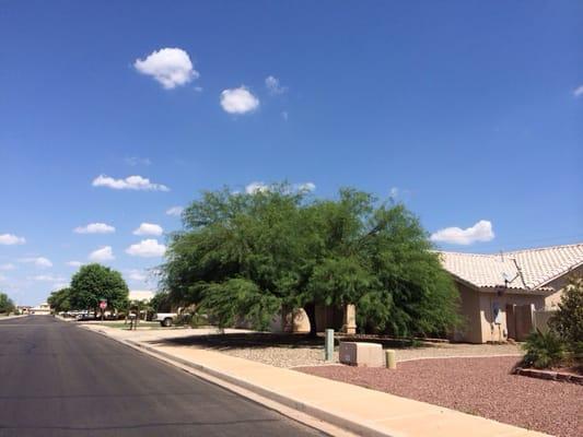 All Star Tree Service LLC