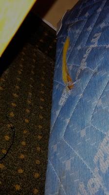 The Crossroads Hotel and Suites