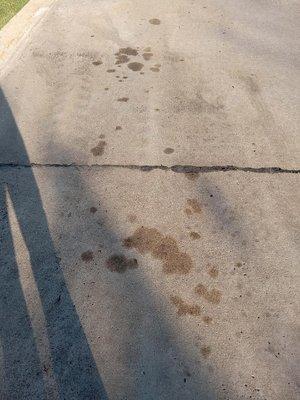 Marion Paving & Trucking