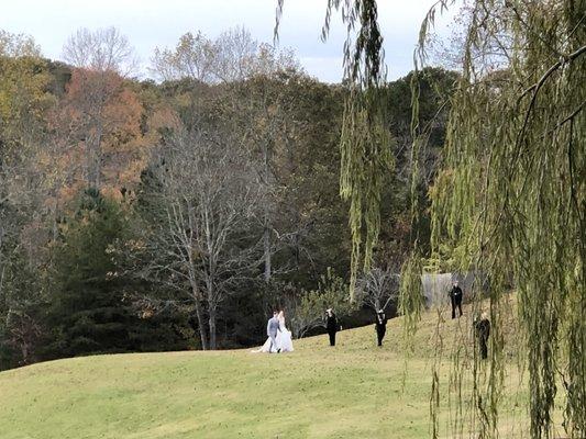 Magnolia Willow farms