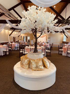 Beautiful tree lounge sitting area