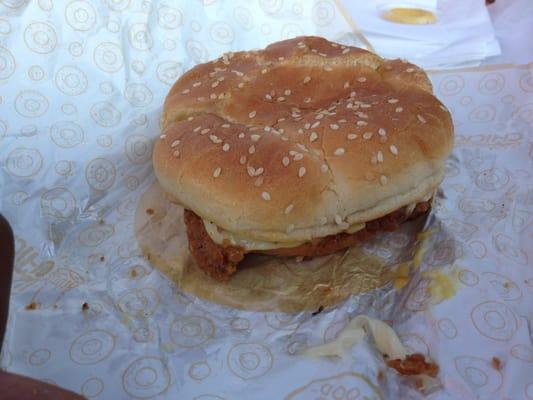 Not a good looking sandwich and it tasted like a hotdog