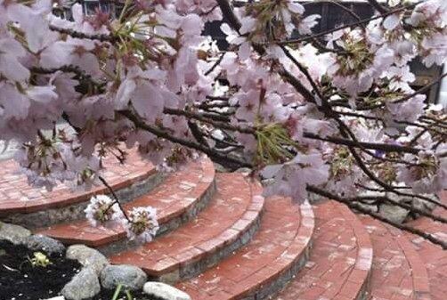 Adam Gorski Landscapes