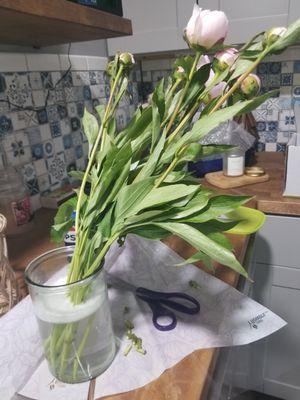 Do not use 11-800flowers!