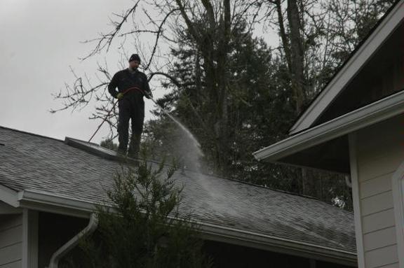 Rick's Spray Service