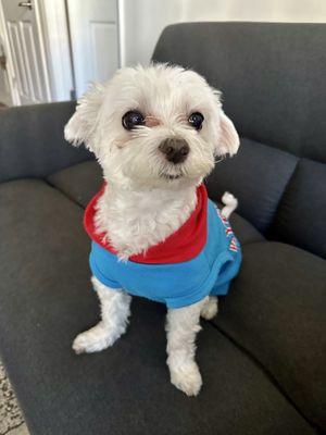 The Grooming Cottage