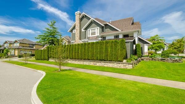 Los Alamos Landscaping & More