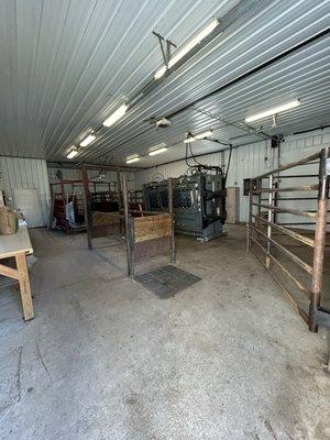 Kreutzer Animal Services