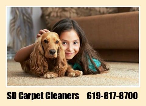SD Carpet Cleaners