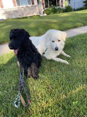 Chuck & Don's Pet Food & Supplies