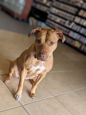 Dark Side Video Games