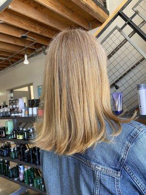 Color and Cut by Chrissy