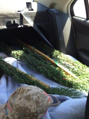 Cameron Nursery & Turf