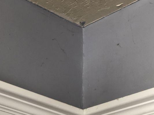 Dirty walls full of spider webs & spiders