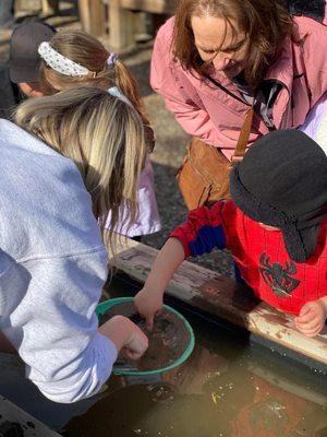 Matelot Gulch Mining Company