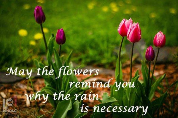 Ellen Sanford-Next Home 365