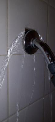 West Town Apartments