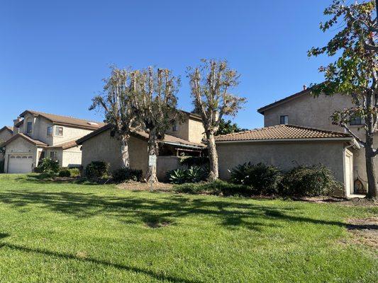 Sierra West Landscape Company