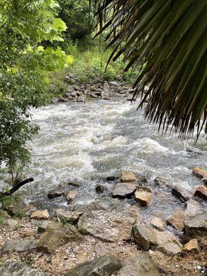 Charles Wood Japanese Garden