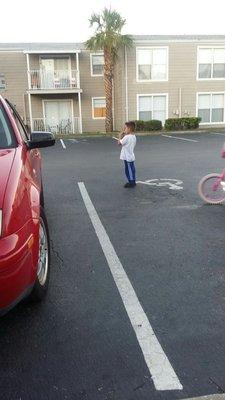 Tzadik Bay Apartments