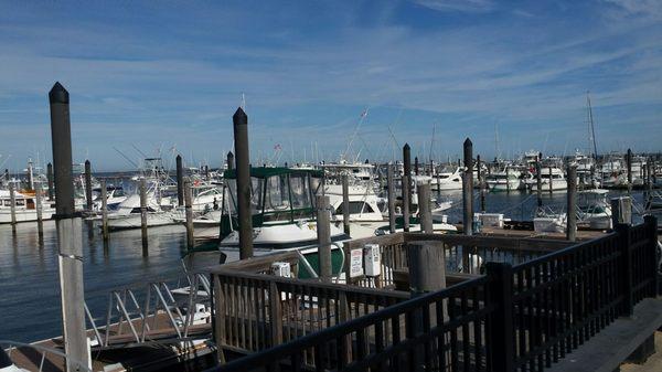 Atlantic Highlands Municipal Marina