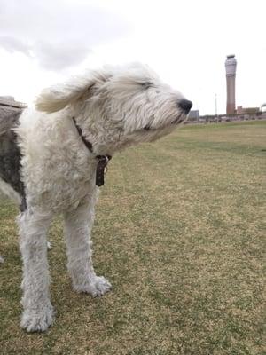 I'll just post this for now until someone uploads a better representation of the park.