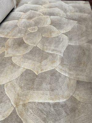 The first cleaning, terrible brown stains.