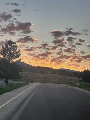 Bus loop but this school is actually horrible.