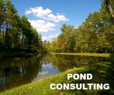 Iowa Pond Restoration