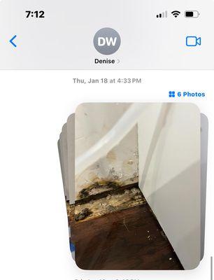 Wallace Construction Group