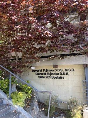 Trevor M Fujinaka DDS, MSD